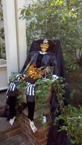 xLobby Halloween Pirate